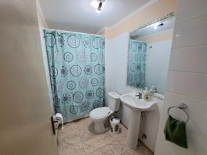 a bathroom with a toilet and a sink and a shower at Departamento completo sector aeropuerto La Serena in La Serena