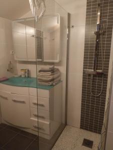 La salle de bains est pourvue d'une douche en verre et d'un lavabo. dans l'établissement LA PROVIDENCE, à Illiat