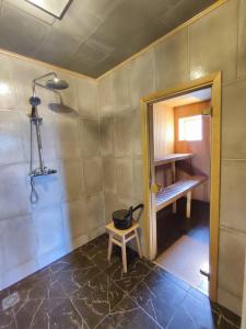 a room with a shower and a bowl on a stool at Modern Sauna Cabin in Horse Ranch in Lieplaukė