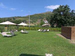 a group of chairs and umbrellas on a lawn at Laurus Cilento Relax BeB in Laureana Cilento
