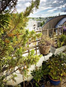 a balcony with potted trees and potted plants on it at L'Eden Urbain - Issy-les-Moulineaux in Issy-les-Moulineaux