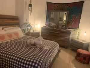 a bedroom with a bed with a mirror and a dresser at MI CASITA BOHO GREEN in Guayama