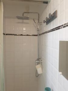 uma casa de banho em azulejos brancos com um chuveiro e um WC. em MER ET SOLEIL em Port-Louis