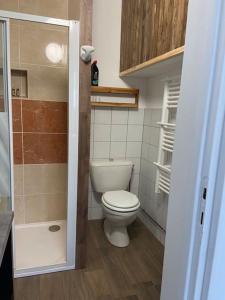 een kleine badkamer met een toilet en een douche bij Joli loft rénové in Payré