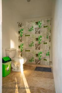 a bathroom with a toilet and a green shower curtain at Hacienda Rosabel in Ponce