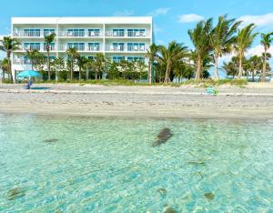 a hotel on the beach with a turtle in the water at Manasota Key Resort in Englewood