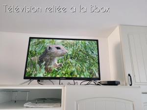Una TV levanta una caja con una ardilla en la pantalla en [Aucun supplément] L'Harmonie - 15 min de Beauval, en Meusnes