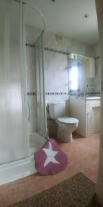 a bathroom with a shower and a toilet and a rug at Villapolonia, casa 8 pax. piscina y aire ac. in Benicàssim