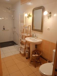 La salle de bains est pourvue d'un lavabo, de toilettes et d'un miroir. dans l'établissement Maison calme avec piscine entourée de son parc, à Quintenas