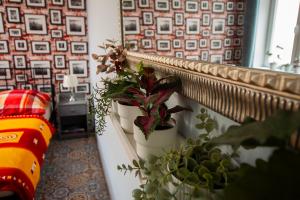 Posteľ alebo postele v izbe v ubytovaní Apartament u Olechny 4