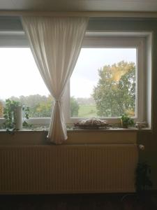 a window with a curtain in a room at Wohnung mit Blick aufs Blockland in Osterholz-Scharmbeck
