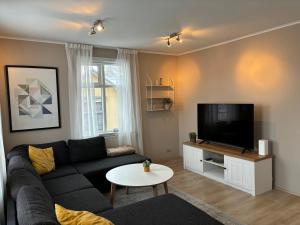 ein Wohnzimmer mit einem Sofa und einem TV in der Unterkunft In the heart of Akureyri in Akureyri