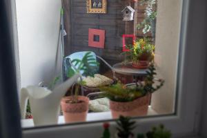 Fotografia z galérie ubytovania Apartament u Olechny 4 v destinácii Bydgoszcz