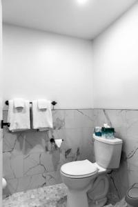 een badkamer met een wit toilet en handdoeken bij The Phenix Historic DTWN Hotel, Room # 310 in Bangor