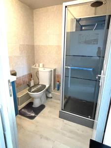 łazienka z toaletą i prysznicem w obiekcie Studio cosy indépendant avec Jardin à Osny proche Cergy pontoise w mieście Osny