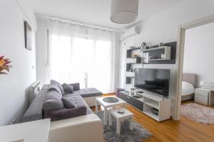 a living room with a couch and a television at ANAMARIE Apartment, free parking, Belgrade, Center, SRB in Vračar (historical)