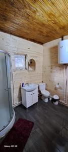 a bathroom with a toilet and a sink and a shower at Cabana Larisa in Armeniş