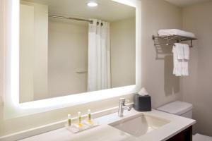 a bathroom with a sink and a large mirror at Holiday Inn Newport News - Hampton, an IHG Hotel in Newport News