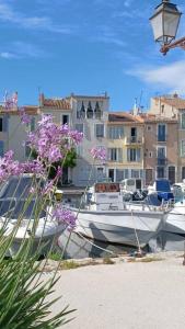 um barco está ancorado num porto com flores roxas em Charmant studio sur la Venise provençale 32m2 em Martigues