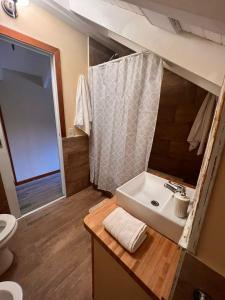 a bathroom with a sink and a toilet and a mirror at El Foye in Villa La Angostura