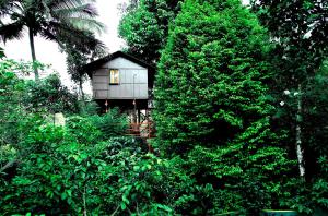 Zahrada ubytování The wayside cottage Munnar
