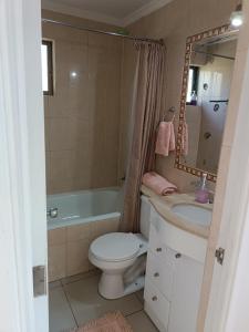 a bathroom with a toilet and a tub and a sink at Cabaña El Tiempo Es Arte in San José de Maipo