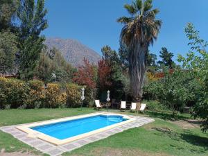 a swimming pool in a yard with a palm tree at Cabaña El Tiempo Es Arte in San José de Maipo +34 photos
