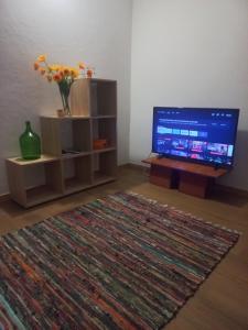 a living room with a television and a rug at Levadinha - Nature guest house in Madalena do Mar