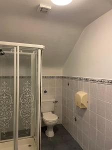 a bathroom with a toilet and a shower at Coastguard Lodge Hostel at Tigh TP in Dingle