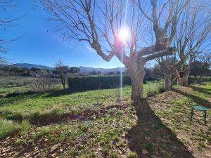 Un albero in un campo con il sole dietro di esso di Studio Vintage dans la nature a Carnoules Altre 6 foto