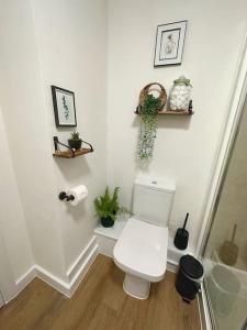 a bathroom with a toilet and plants on the wall at The Hive - Cosy Studio in Wells City Centre in Wells