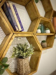 a wooden book shelf with a potted plant on it at The Hive - Cosy Studio in Wells City Centre in Wells