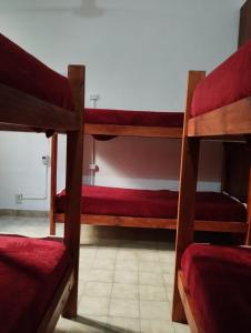 Двухъярусная кровать или двухъярусные кровати в номере InstaLate Hostel