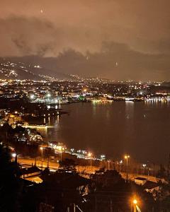 una vista de la ciudad por la noche con un cuerpo de agua en WHİTE ROSE VİLLA Jakuzili ve Isıtma Havuzlu en Sapanca