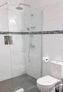 W łazience znajduje się toaleta i przeszklony prysznic. w obiekcie Superbe appartement cosy neuf w mieście Saint-Martin