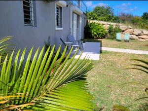 a palm tree in front of a house at Superbe appartement cosy neuf in Saint Martin