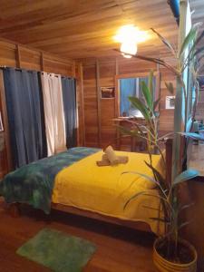 a bedroom with a yellow bed with a plant at Old Bank Tea Garden in Bocas del Toro