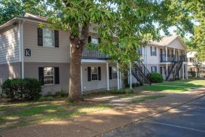 uma casa com uma árvore em frente em Oxford Gosh Almighty Walk to the Vaught em Oxford