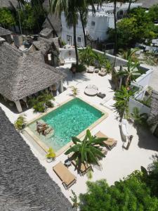 an overhead view of a swimming pool with chaise lounges and chairs at Olamanga Beach Villa in Jambiani