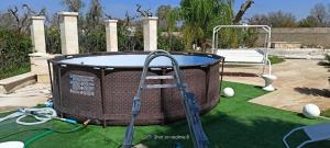 una cama elástica en la hierba con bolas en ella en Villa delle Stelle con piscina, en Leverano