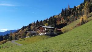 a house on the side of a hill at Apartment Wegmo in Bischofshofen