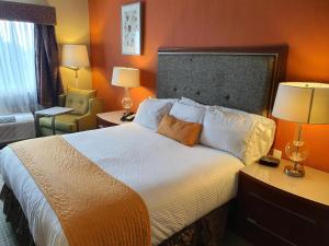 een hotelkamer met een groot bed met 2 lampen bij Meson Sonora in Nuevo Laredo