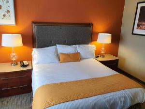 Habitación de hotel con 1 cama grande y 2 lámparas en Meson Sonora, en Nuevo Laredo