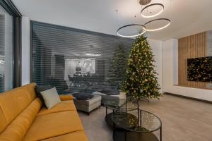 帕索尔维基Villa K&L Pasohlávky的客厅里有一棵圣诞树和一张沙发