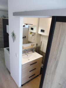 een badkamer met een wastafel en een spiegel bij Domaine de L'Annonciade in Les Mées