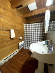 een badkamer met een witte wastafel en een douche bij Cozy Alaskan Log Home - Aurora overhead in Fairbanks