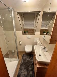 uma casa de banho com um chuveiro, um WC e um lavatório. em FeWo Alte Schmiede em Oberlangfurth