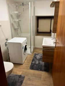 a bathroom with a shower and a washing machine at FeWo Alte Schmiede in Oberlangfurth