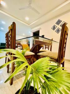 a dining room with a table and chairs and a plant at Lily Homes in Guwahati