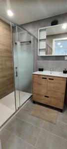 a bathroom with a shower and a sink and a mirror at Apartamento Sofia in Santa Pola